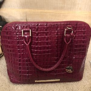 Brahmin bag and wallet